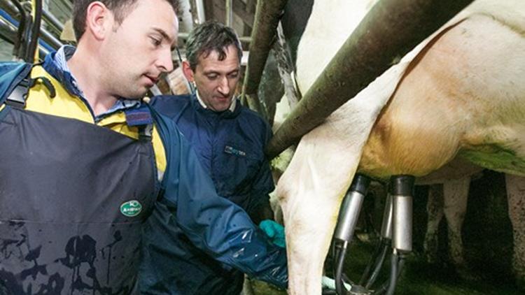Milking Course