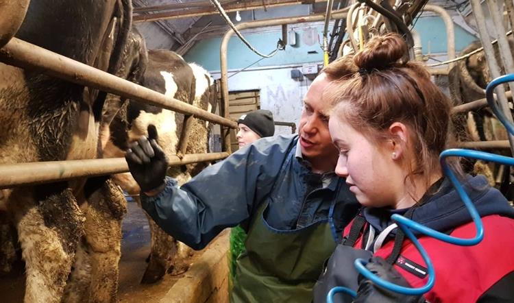 The FRS Training Best Practice Milking Course – What You Need To Know