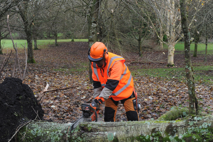 City & Guilds chainsaw course
